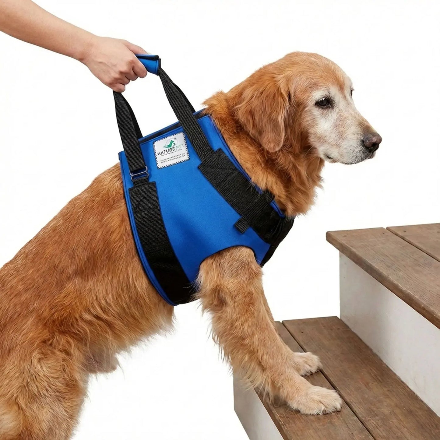 Vordere Tragehilfe für Hunde