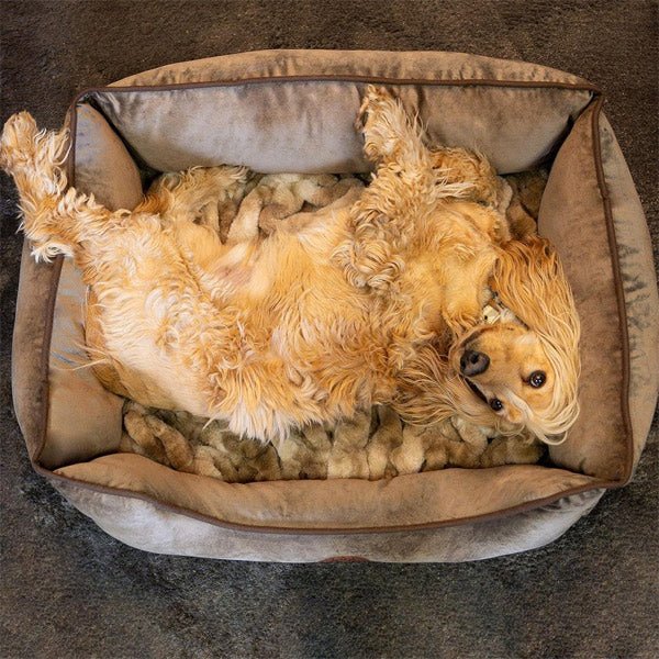 Hundebett Henri