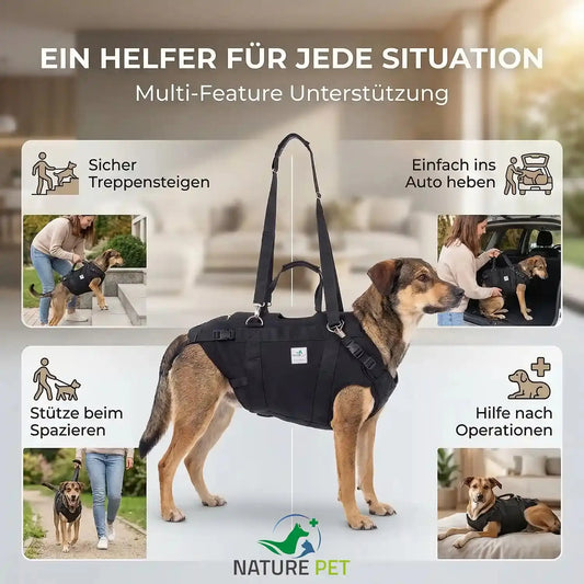 Full body lifting harness for dogs