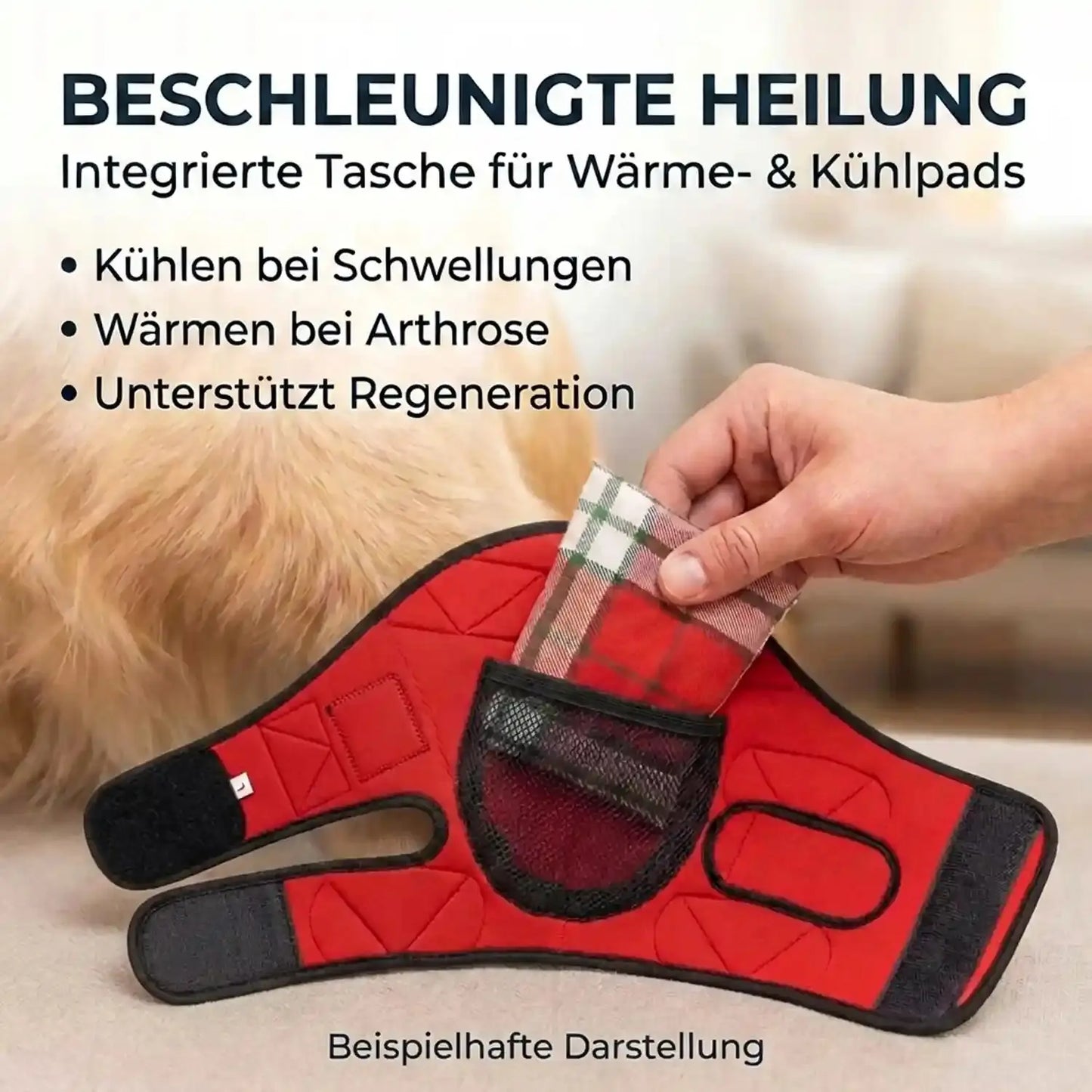 Liegeschwielen Bandage für Hunde