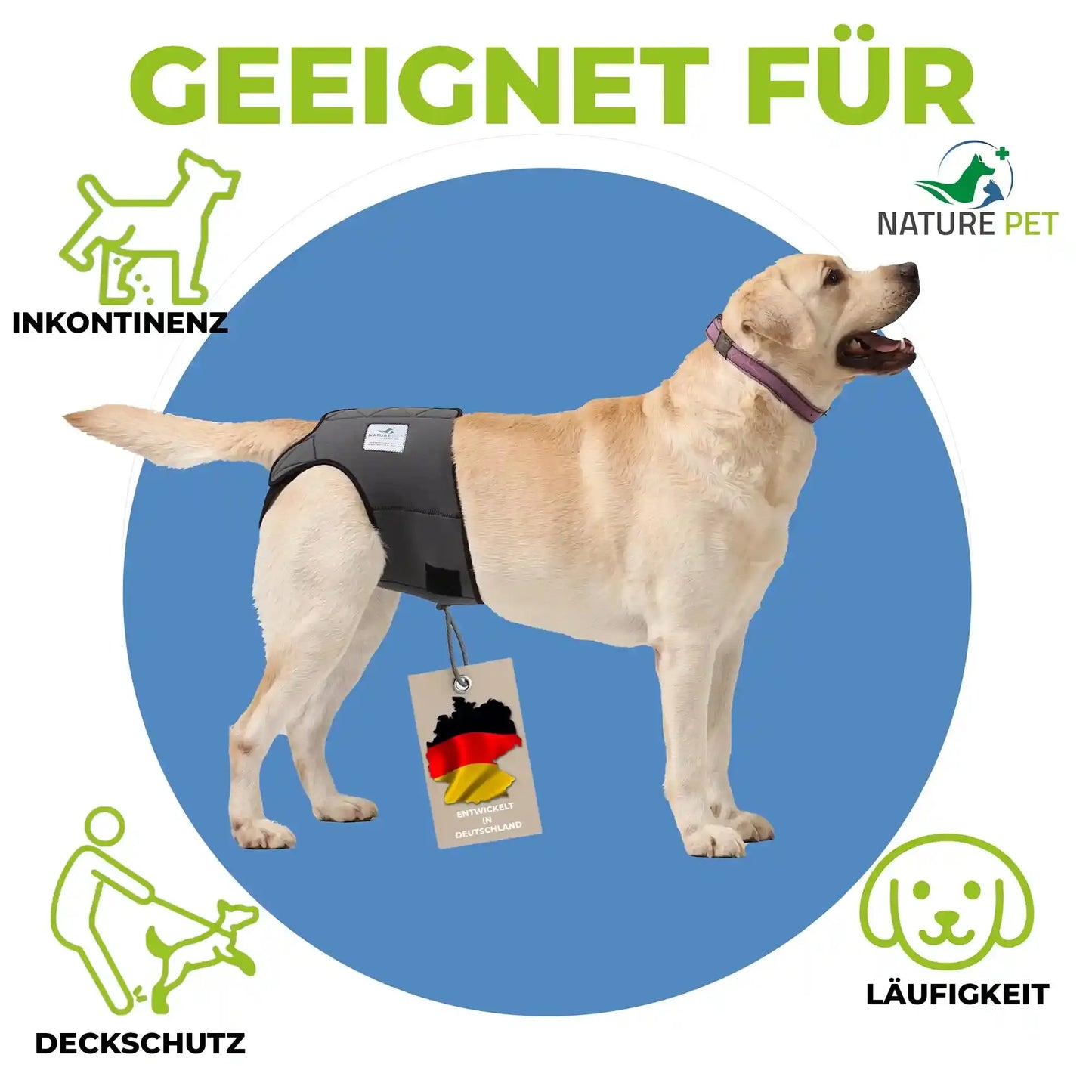 Läufigkeitshose für Hündinnen