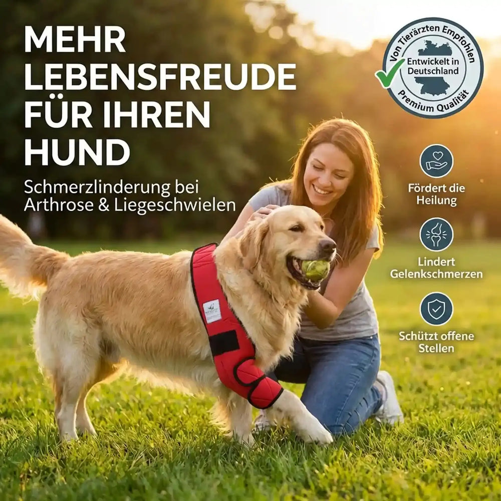 Dog Bed Sore Bandage