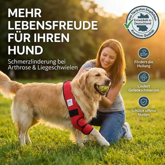 Dog Bed Sore Bandage