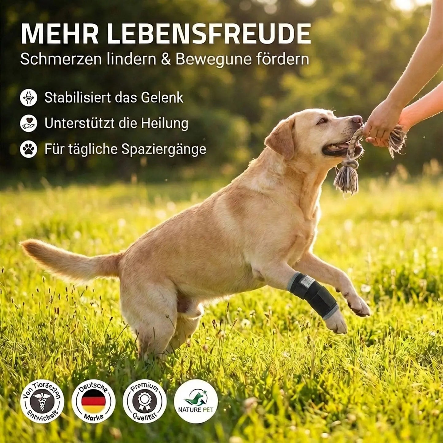 Stabilisierungs Handgelenkbandage für Hunde