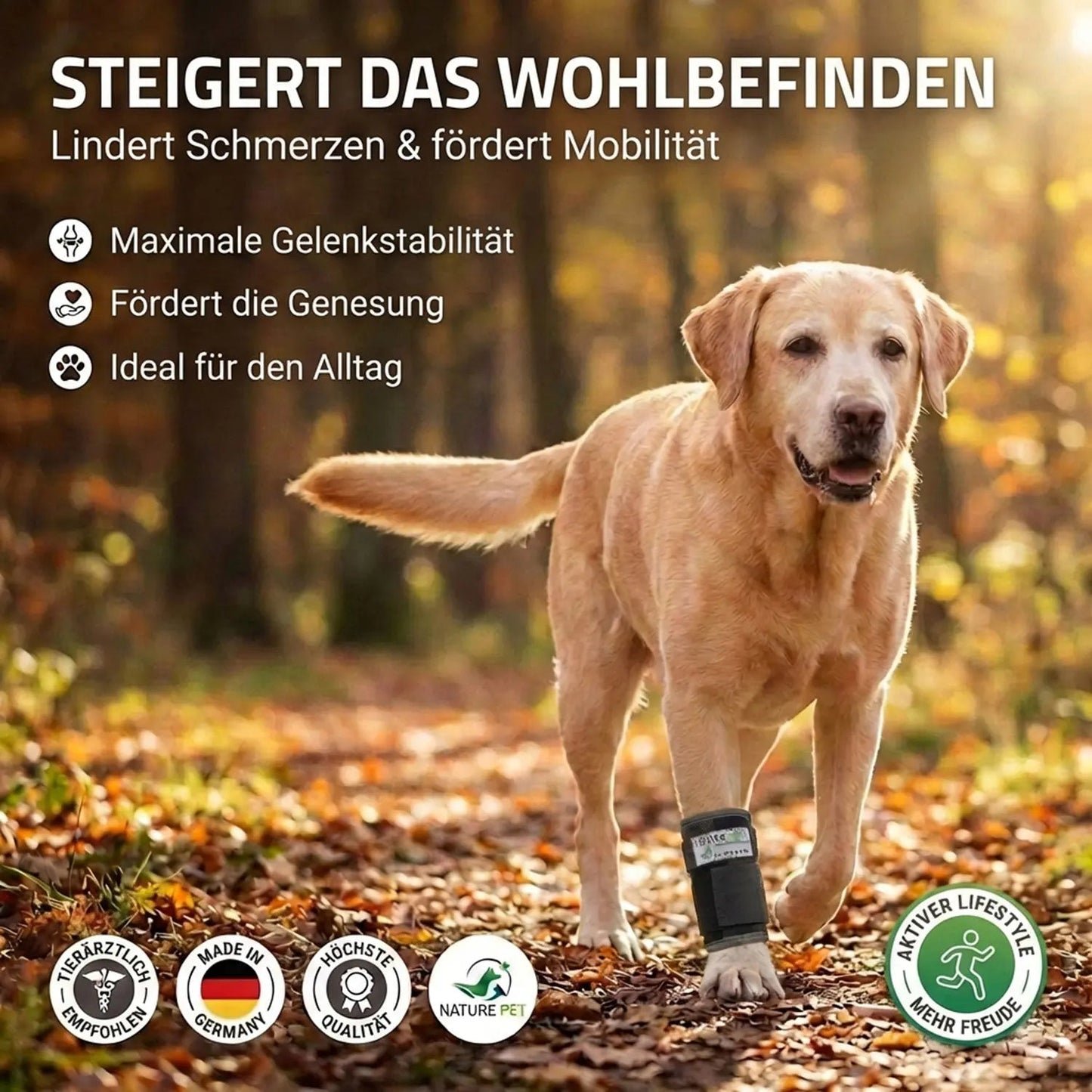 Stabilisierungs Handgelenkbandage für Hunde