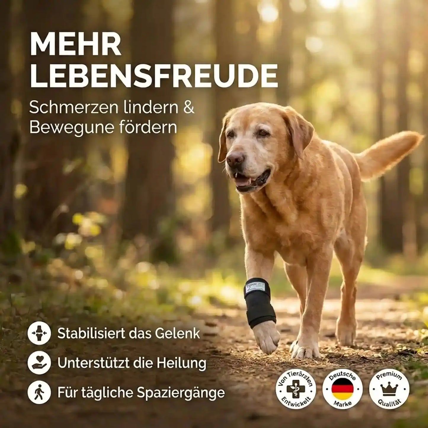 Durchtrittigkeits Bandage für Hunde mit Turbocast