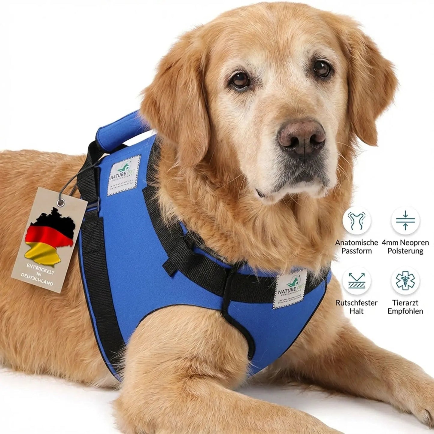 Vordere Tragehilfe für Hunde