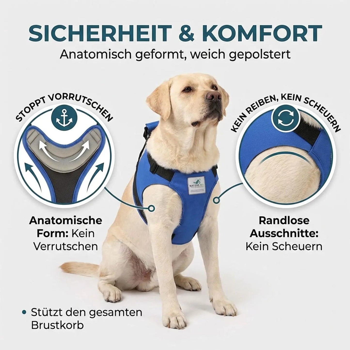 Vordere Tragehilfe für Hunde