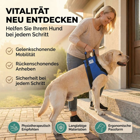 Fronttragetasche für Hunde