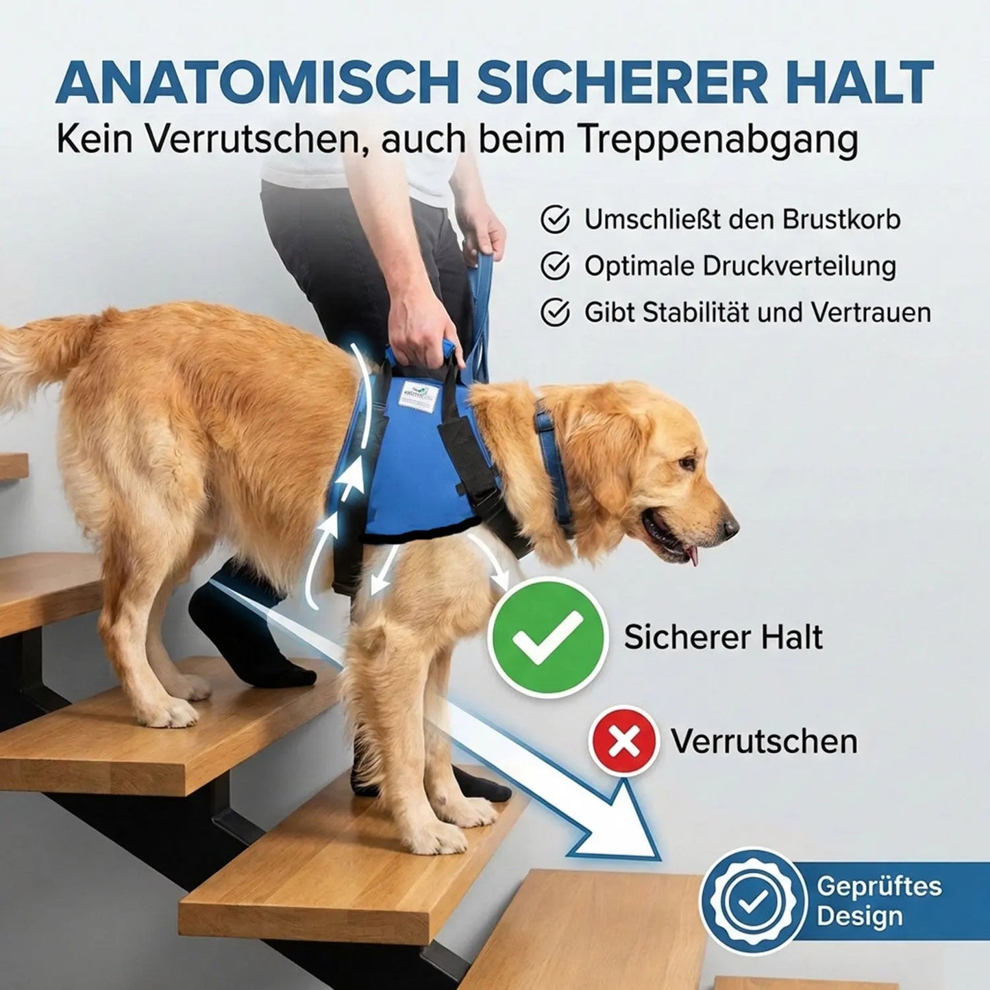 Vordere Tragehilfe für Hunde