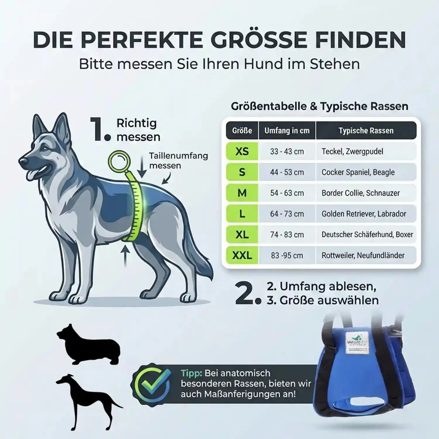 Hunde Tragehilfe hinten