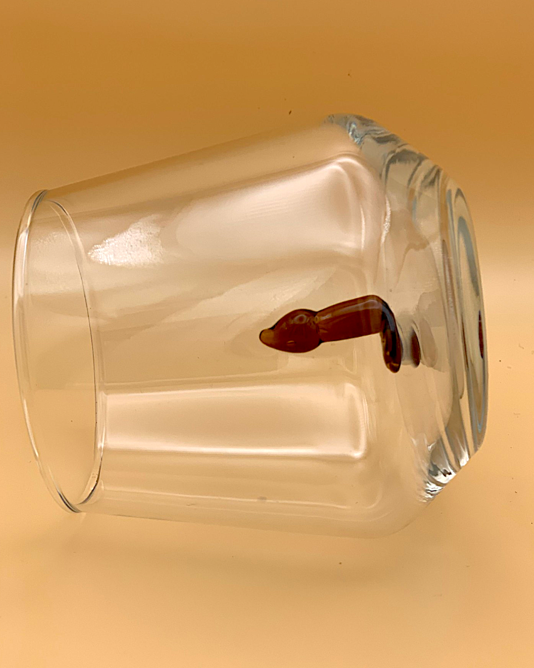 Penis