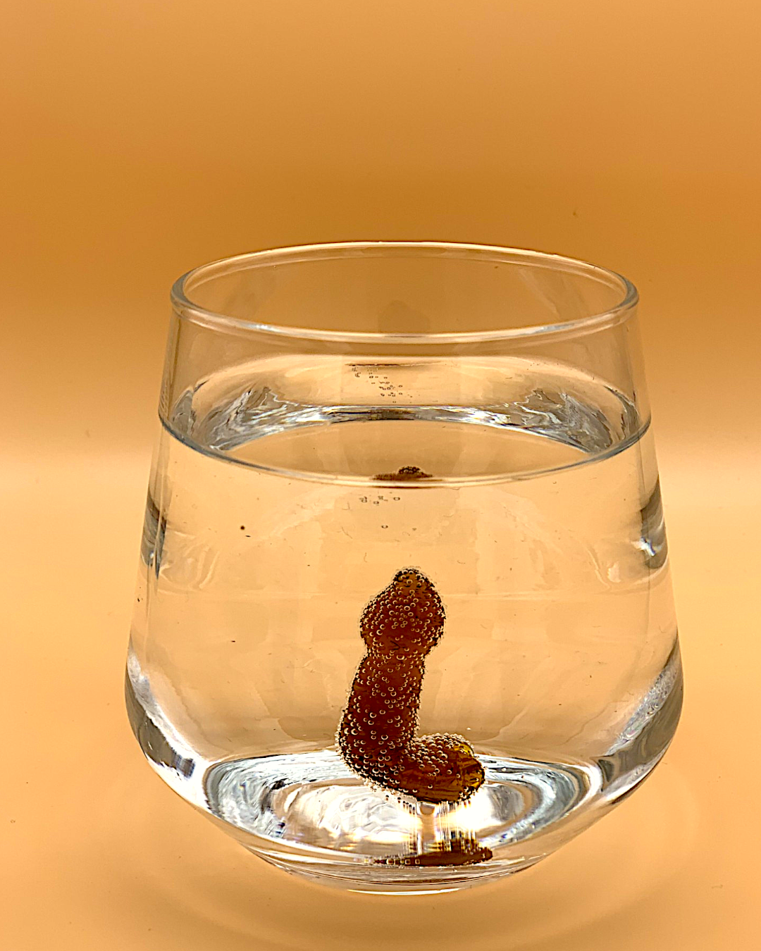Penis
