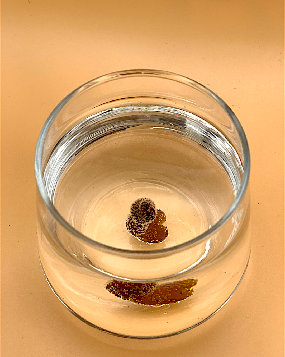 Penis
