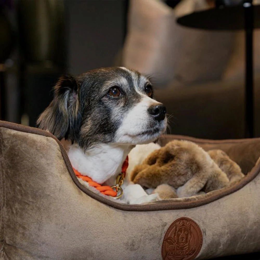 Hundebett Henri